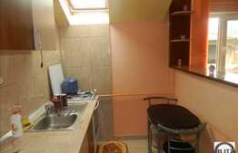 Apartament de vanzare cu 1 camera, 46 mp in zona Florilor,