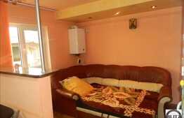 Apartament de vanzare cu 1 camera, 46 mp in zona Florilor,