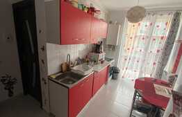 Apartament 1 camera, modern, decomandat, zona Porii, Floresti