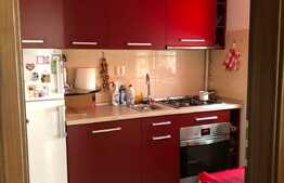 Garsoniera 32 mp, parcare, in zona strazii Corneliu Coposu