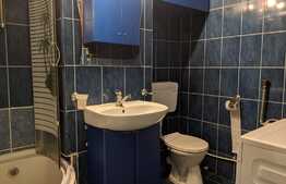 Apartament 1 camera, 36 mp, pet friendly, in zona strazii Dunarii