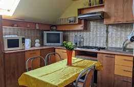 Apartament 1 camera, 36 mp, pet friendly, in zona strazii Dunarii