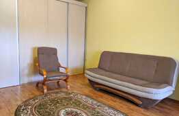 Apartament 1 camera, 36 mp, pet friendly, in zona strazii Dunarii