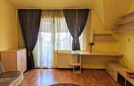 Apartament 1 camera, 36 mp, pet friendly, in zona strazii Dunarii