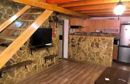 Apartament 3 camere, decomandat, 65 mp, pet friendly, Memorandumului