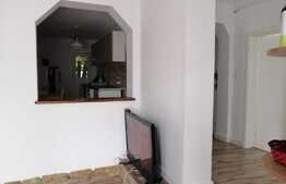 Casa individuala cu 4 apartamente, 320 mp utili, 470 mp teren! Investitie! 