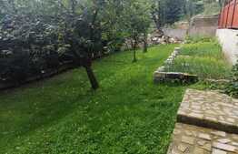 Casa individuala cu 4 apartamente, 320 mp utili, 470 mp teren! Investitie! 