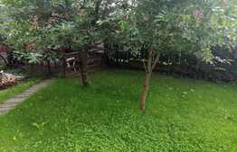 Casa individuala cu 4 apartamente, 320 mp utili, 470 mp teren! Investitie! 