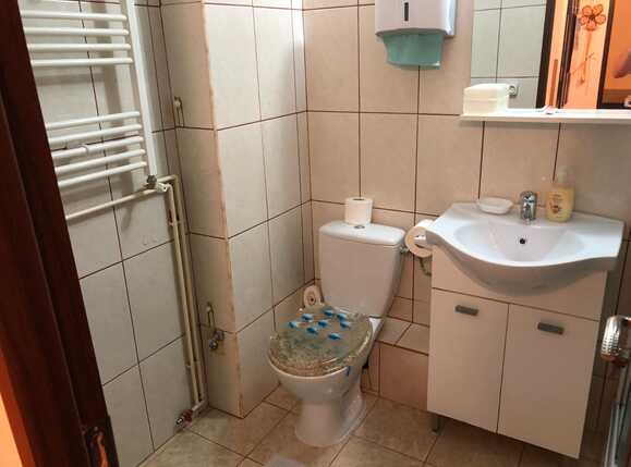 Garsonieră de închiriat Marasti - 51595AI | BLITZ Cluj-Napoca | Poza11