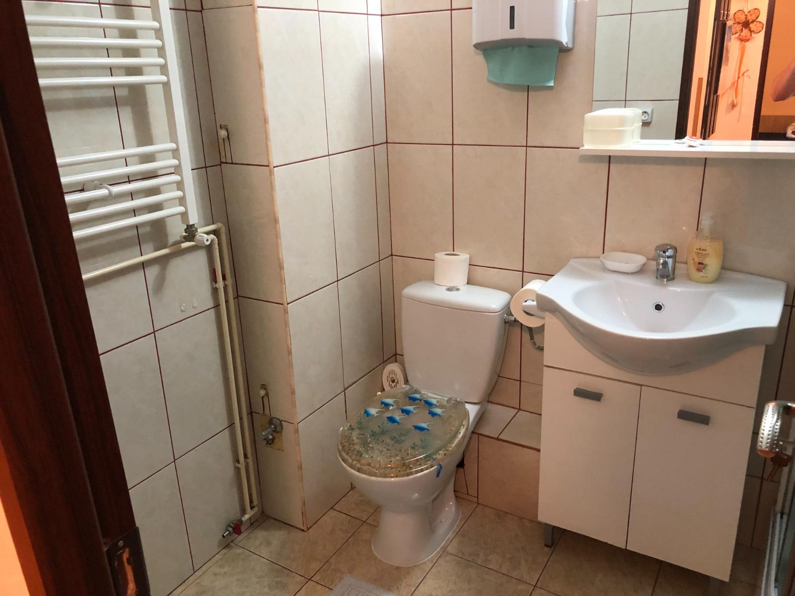 Garsonieră de închiriat Marasti - 51595AI | BLITZ Cluj-Napoca | Poza11