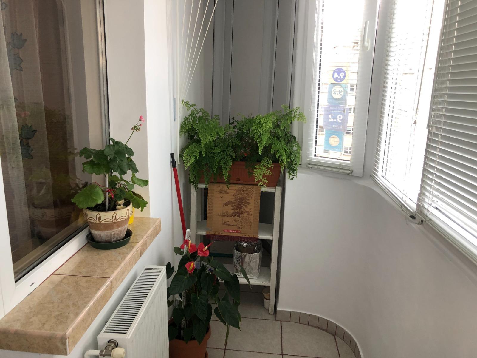 Garsonieră de închiriat Marasti - 51595AI | BLITZ Cluj-Napoca | Poza4