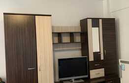 Apartament cu 1 camera, decomandat, 25 mp, zona strazii Teodor Mihali