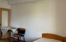 Apartament cu 1 camera, decomandat, 25 mp, zona strazii Teodor Mihali