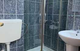 Apartament cu 1 camera, decomandat, 25 mp, zona strazii Teodor Mihali