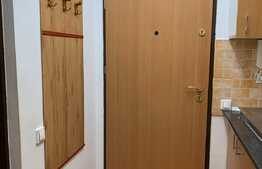 Apartament cu 1 camera, decomandat, 25 mp, zona strazii Teodor Mihali