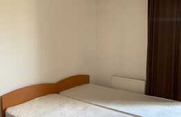 Apartament cu 1 camera, decomandat, 25 mp, zona strazii Teodor Mihali