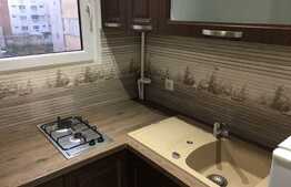 Apartament cu o camera, 28 mp, zona strazii Cernei