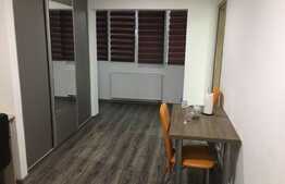 Apartament cu o camera, 28 mp, zona strazii Cernei