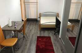 Apartament cu o camera, 28 mp, zona strazii Cernei