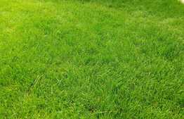 Apartament 3 camere, gradina 100 mp, boxa, zona strazii Teilor!