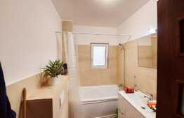 Apartament 3 camere, gradina 100 mp, boxa, zona strazii Teilor!