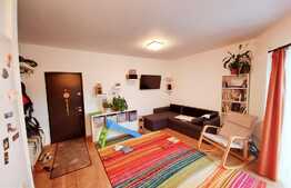 Apartament 3 camere, gradina 100 mp, boxa, zona strazii Teilor!