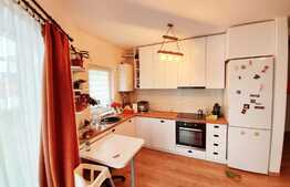 Apartament 3 camere, gradina 100 mp, boxa, zona strazii Teilor!