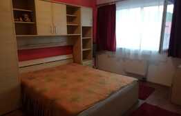 Apartament 2 camere, 58 mp, zona Roata Faget
