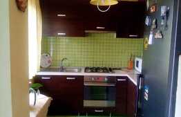 Apartament 2 camere, 58 mp, zona Roata Faget