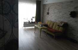 Oportunitate investitie, preluare de chiriasi,  zona Ioan Rus