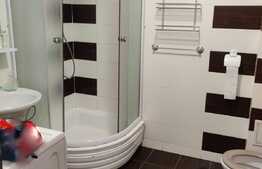 Apartament cu 1 camera, mobilat utilat, etaj intermediar, bloc nou, 42mp + balcon+ parcare, zona Platinia