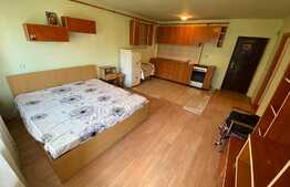 apartament cu 2 camere, 42 mp, zona Teilor.