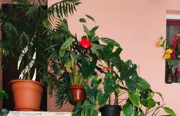 Casa individuala 100 mp utili, teren 176 mp, Baciu