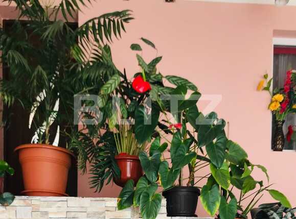 Casa de vânzare 3 camere Baciu - 51685CV | BLITZ Cluj-Napoca | Poza5