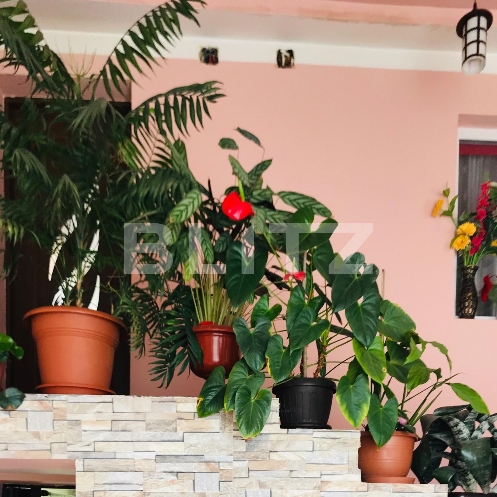 Casa de vânzare 3 camere Baciu - 51685CV | BLITZ Cluj-Napoca | Poza5