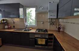 Apartament 3 camere cu gradina, mobilat si utilat, zona strazii Campului