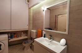 Apartament 3 camere cu gradina, mobilat si utilat, zona strazii Campului