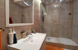 Apartament 3 camere cu gradina, mobilat si utilat, zona strazii Campului