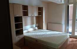 Apartament cu o camera, 30 mp, zona FSEGA