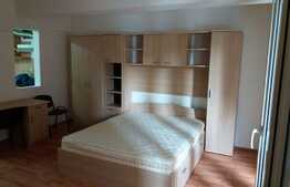 Apartament cu o camera, 30 mp, zona FSEGA