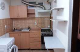 Apartament cu o camera, 30 mp, zona FSEGA