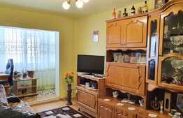 Garsoniera 24 mp, etaj intermediar, zona Expo Transilvaniei