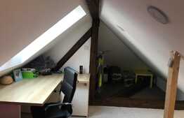 Scadere de pret! Casa la cheie in centrul orasului, 40 mp utili, 450 mp in curte comuna