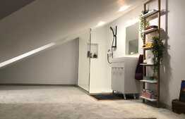 Scadere de pret! Casa la cheie in centrul orasului, 40 mp utili, 450 mp in curte comuna