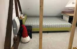 Scadere de pret! Casa la cheie in centrul orasului, 40 mp utili, 450 mp in curte comuna