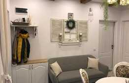 Scadere de pret! Casa la cheie in centrul orasului, 40 mp utili, 450 mp in curte comuna