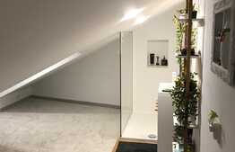 Scadere de pret! Casa la cheie in centrul orasului, 40 mp utili, 450 mp in curte comuna