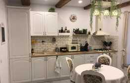 Scadere de pret! Casa la cheie in centrul orasului, 40 mp utili, 450 mp in curte comuna