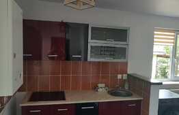 Ocazie! 2 case individuale de vanzare, 117 mp utili, 1400 mp teren