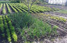 Ocazie! 2 case individuale de vanzare, 117 mp utili, 1400 mp teren